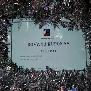 Šoninio vairavimo pilnas komplektas Side power SE25