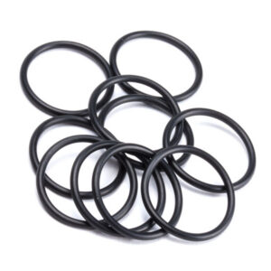 O-Ring S-18 (10)